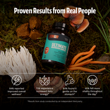 Load image into Gallery viewer, Organic Mushroom Complex Supplement Capsules