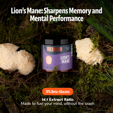 Load image into Gallery viewer, Organic Mushroom Complex Supplement Capsules