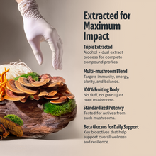 Load image into Gallery viewer, Organic Mushroom Extract Powder Blend