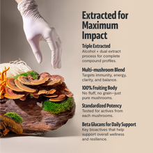 Load image into Gallery viewer, Organic Mushroom Complex Supplement Capsules
