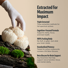 Load image into Gallery viewer, Organic Mushroom Complex Supplement Capsules
