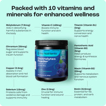 Load image into Gallery viewer, Electrolyte Recovery Plus Powder (Sugar-Free)