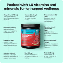 Load image into Gallery viewer, Electrolyte Recovery Plus Powder (Sugar-Free)