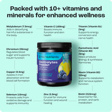 Load image into Gallery viewer, Electrolyte Recovery Plus Powder (Sugar-Free)