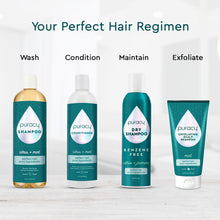 Load image into Gallery viewer, Dry Shampoo (Benzene &amp; Silicone-Free, Color-Safe)