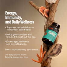 Load image into Gallery viewer, Organic Mushroom Complex Supplement Capsules