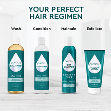 Load image into Gallery viewer, Exfoliating Scalp Shampoo