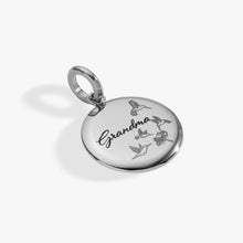 Load image into Gallery viewer, Grandma Hummingbird Disc Charm