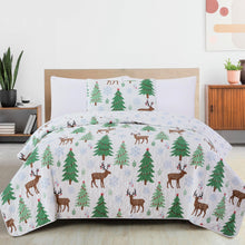 Load image into Gallery viewer, Holiday Quilt - Holly Collection