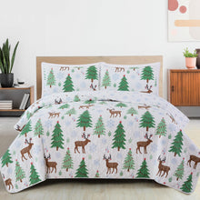 Load image into Gallery viewer, Holiday Quilt - Holly Collection