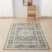 Load image into Gallery viewer, Medallion Machine Washable Accent Area Rug 5' x 7' - Nava Collection