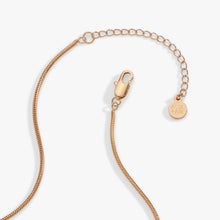 Load image into Gallery viewer, Heart Slider Necklace