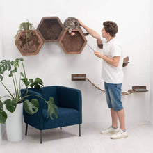 Load image into Gallery viewer, Cat Hexagon Shelf Dark Walnut