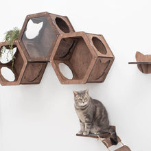 Load image into Gallery viewer, Cat Hexagon Shelf Dark Walnut