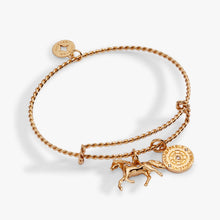 Load image into Gallery viewer, Horse Rope Textured Charm Bangle