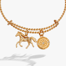 Load image into Gallery viewer, Horse Rope Textured Charm Bangle