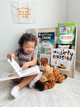 Load image into Gallery viewer, TOMIBOY- Bookshelf with Hidden Storage