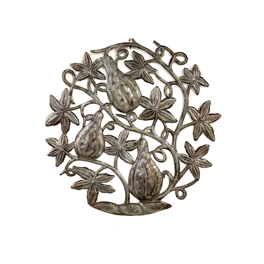 Steel Gourd Plant