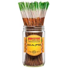 Load image into Gallery viewer, Eucalyptus Incense Sticks (pack of 50)