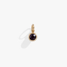 Load image into Gallery viewer, February Birthstone Interchangeable Charm