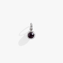 Load image into Gallery viewer, February Birthstone Interchangeable Charm