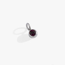 Load image into Gallery viewer, February Birthstone Interchangeable Charm