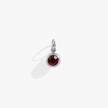 Load image into Gallery viewer, January Birthstone Interchangeable Charm