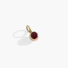 Load image into Gallery viewer, January Birthstone Interchangeable Charm