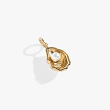 Load image into Gallery viewer, Oyster Interchangeable Charm