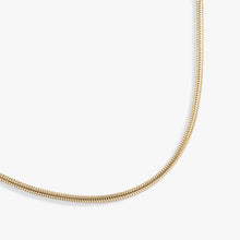 Load image into Gallery viewer, Round Herringbone Charm &amp; Layering Necklace