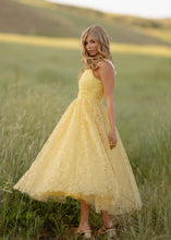 Load image into Gallery viewer, Daisy Days Dress
