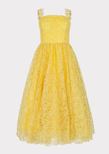 Load image into Gallery viewer, Daisy Days Dress