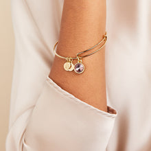 Load image into Gallery viewer, June Birthstone Charm Bangle, Light Amethyst