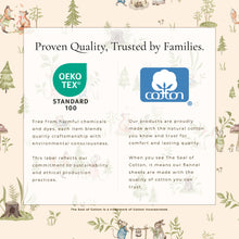 Load image into Gallery viewer, Turkish Cotton Flannel Sheet Set - Kids' Christmas Collection