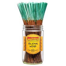 Load image into Gallery viewer, Ocean Wind Incense Sticks (pack of 50)