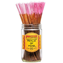 Load image into Gallery viewer, Peace of Mind Incense Sticks (pack of 10)