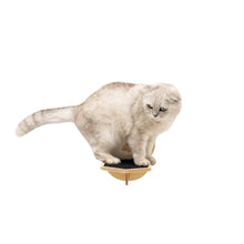 Load image into Gallery viewer, Wooden Cat Step - Light