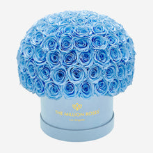 Load image into Gallery viewer, Supreme Light Blue Suede Superdome Box | Light Blue Roses