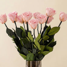 Load image into Gallery viewer, Long Stem Roses | Light Pink Roses