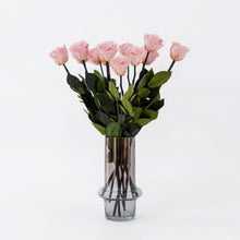 Load image into Gallery viewer, Long Stem Roses | Light Pink Roses