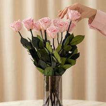 Load image into Gallery viewer, Long Stem Roses | Light Pink Roses