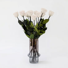 Load image into Gallery viewer, Long Stem Roses | White Roses