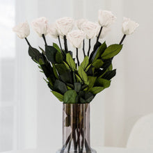 Load image into Gallery viewer, Long Stem Roses | White Roses