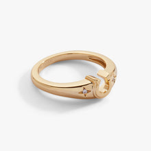 Load image into Gallery viewer, Lucky Horseshoe Ring