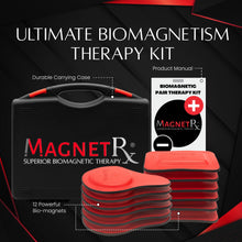 Load image into Gallery viewer, Biomagnetic Therapy Magnet Kit — Ferrite &amp; Leather (12 Mixed Units)