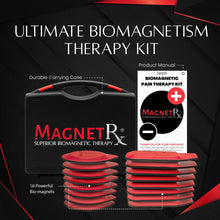 Load image into Gallery viewer, Biomagnetic Therapy Magnet Kit — Ferrite &amp; Leather (16 Small Mixed Units)