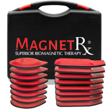 Load image into Gallery viewer, Biomagnetic Therapy Magnet Kit — Ferrite &amp; Leather (16 Small Mixed Units)
