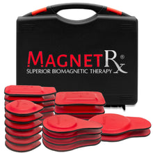 Load image into Gallery viewer, Biomagnetic Therapy Magnet Kit — Ferrite &amp; Leather (22 Mixed Units)