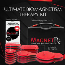 Load image into Gallery viewer, Biomagnetic Therapy Magnet Kit — Ferrite &amp; Leather (22 Mixed Units)