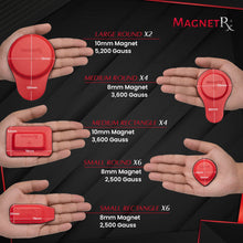 Load image into Gallery viewer, Biomagnetic Therapy Magnet Kit — Ferrite &amp; Leather (22 Mixed Units)
